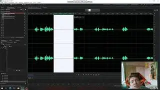 удаление шума Adobe Audition сведение вокала в fl studio 20