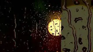 lofi 📚  beats to relax - Vinyl noise