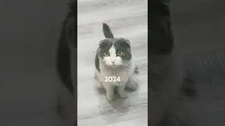 2023 VS 2024
