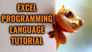 Excel Programming Language Tutorial: 3 Simple Examples You Need to Automate Excel Reports in 2022