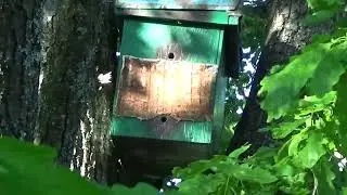 Разведка..