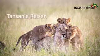 Tansania Reisen mit travel-to-nature
