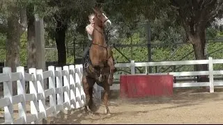 Fiery Horses