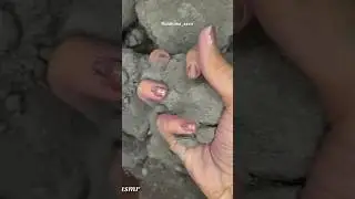 Cement new video uploaded l Riddhima_asmr