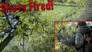 SHOTS FIRED!! Indiana Suburban Archery Hunting 2020 | Episode 2