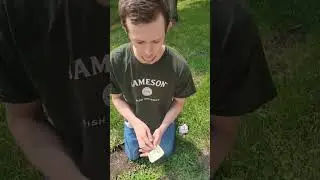 Paypig slave 