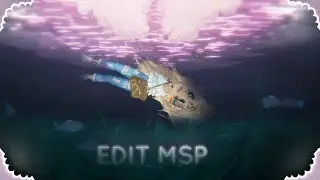 MSP Edit - Echo.