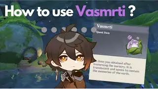 GUIDE: How to use the 12 Vasmrti(s)