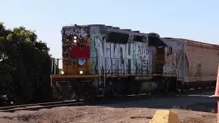Union Pacific Santa Paula run and pick up 11 20 24