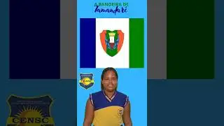 A Bandeira de Tamandaré