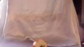 Apple Stop Motion