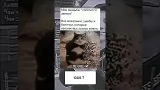 #мем