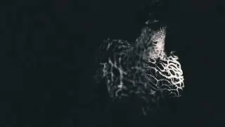 Ulcerate - To Flow Through Ashen Hearts (Official video)