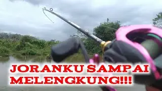 Spot banjiran sangat potensial! Joranku Sampai Melengkung!! #mancing #casting #gabus