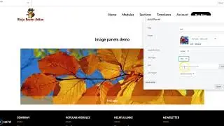Ninja Beaver Addons  Image Panels Module