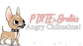 Angry Chihuahua meets Brutus | Pixie and Brutus Comic Dub