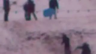 ???????