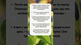 ГОРОСКОП на 30 Апреля #shorts