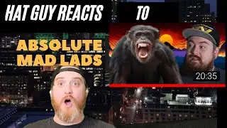 Hat Guy Reacts to Absolute Mad Lads - The Gombe Chimpanzee War 