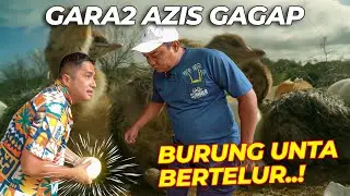 MASYA ALLAH, ADA AZIS GAGAP DATENG BURUNG UNTA GW BERTELUR..❗❗