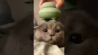 Я когда вышла в плюс 
