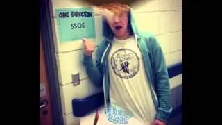 ~Niall Horan~