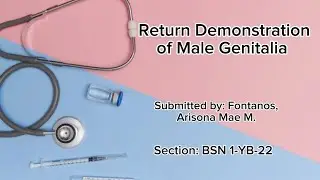 Return Demonstration of Male Genitalia.