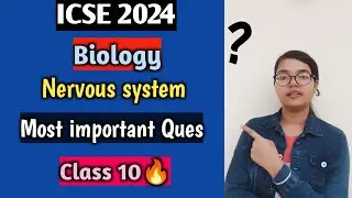 ICSE 2024 | Biology Nervous system | Most important questions for Board Exam | part 2