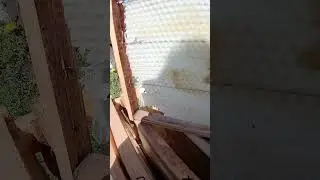 своя вощина через год после хранения