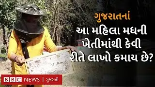 Navsari : આ યુગલ પાસે છે 13 કરોડ મધમાખી, મધથી કમાય છેે લાખો રૂપિયા Honey Bee