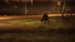 Жнец в Химках.  Видео от 6 августа 2016 года