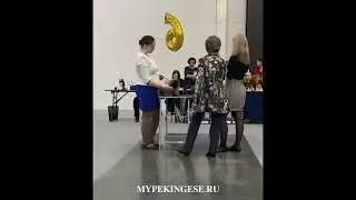 Симуси Европа