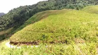 Virall! Pemandangan ini menarik sekali di tonton#kuy ditonton#dj Ubur-ubur mantap 👌