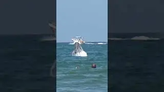Анапа. Нечто из глубин😲