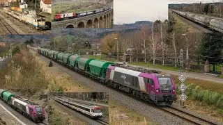 Trenes Renfe Raxell 269 253 319 256 447 Puerto de Pozazal Celada Torrelavega Febrero 2024
