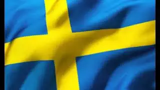 Sweden Vs Denmark 🇸🇪⚔️🇩🇰