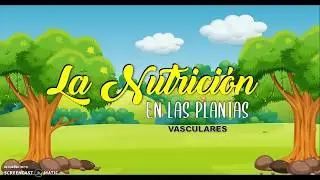 6º Nutrición en las plantas