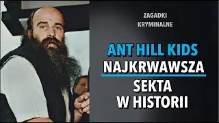 SEKTA ANT HILL | KAROLINA ANNA