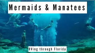 Weeki Wachee Springs State Park, Crystal River Traveling in an RV through Florida