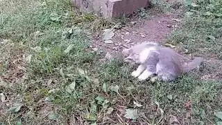20170813 230139