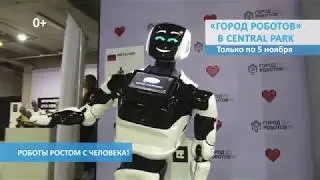 Город Роботов в Курске в Central Park до 5 ноября