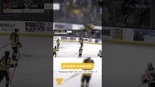Pittsburgh Penguins Reclamation Projects: Jansen Harkins