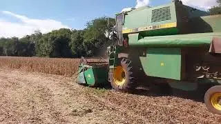Colheita da Soja SLC 6200