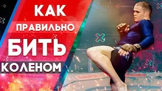 Как правильно бить коленом в мма 2020
