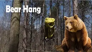 How to Setup a Bear Hang