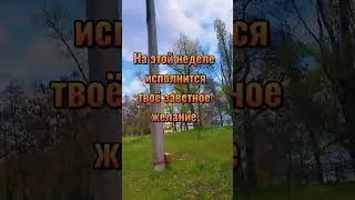 Скорее принимай послание Вселенной для тебя .для энергообмена поставь ❤️ и подпишись ✅
