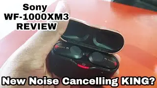 SONY WF-1000XM3 WIRELESS EARBUDS REVIEW 2020!!! New Noise Cancelling King?
