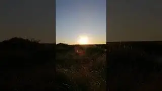VID 202409рассвет