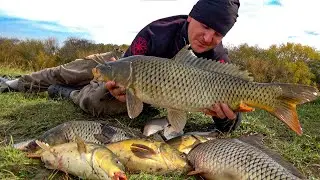 I DIDN'T EXPECT THIS CARP FISHING IN THE FALL!!! CRAZY FISHING! I JUST CAST AND IT WAS HOT! Fishi...