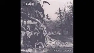 Cicada - Wicked Dream 7